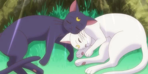 The 5 Best and 5 Worst Sailor Moon Relationships